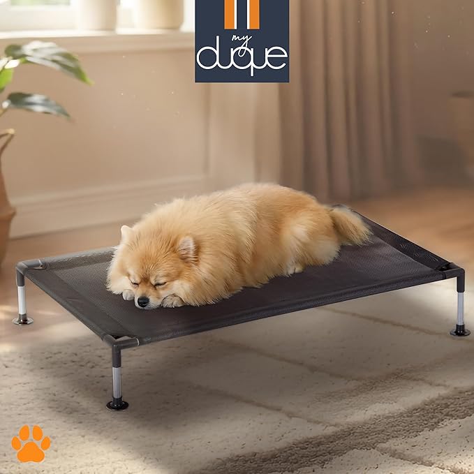 Cama Elevada para Perro Pequeño 60x46cm Lavable y Plegable miniatura 5