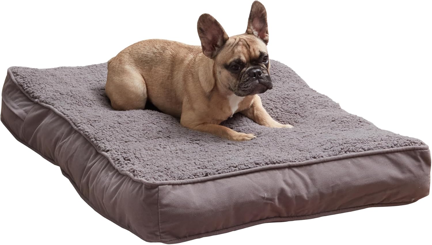 South Pine Porch Darla Deluxe Reversible Microfiber and Sherpa Supportive Rectangle Dog Bed with Removable, Machine-Washable Cover, Gray, Medium (42 in. x 30 in.)