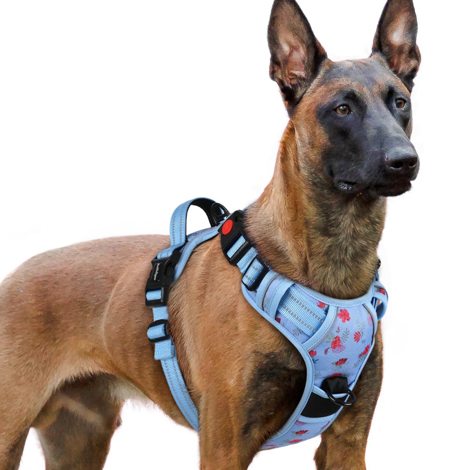 rabbitgoo Hundegeschirr Kleine Hunde, Verstellbare Geschirr Hund ohne Zug & Würgen, Anti Zug Hundegeschirr mit Griff, weich Gepolsterte Reflektierende Brustgeschirr