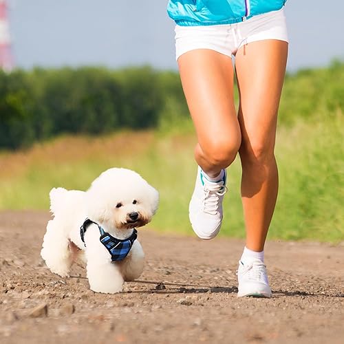 Miniatura 6 de Juego de arnés y correa para perro  Arnés de chaleco para perro con correa retráctil multifunción de 6 pies  con control de un botón, freno con una