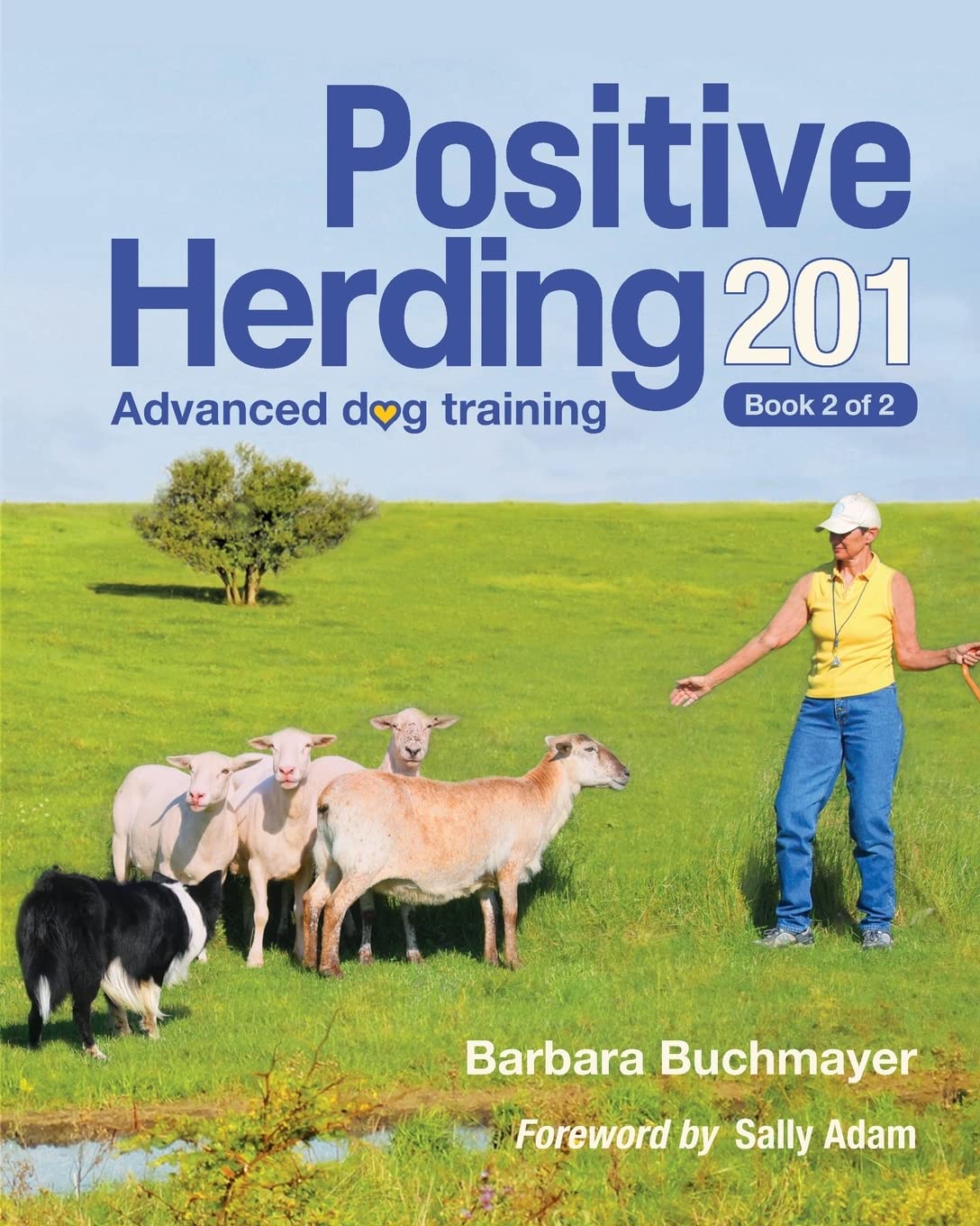 Positive Herding 201: Advanced dog training