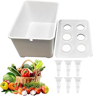 Hydrokultur System für Innenräume - 6 Löcher Hydroponik Box Set,Pflanzkasten für Gemüse,Für Gemüse Blumen Innenbereich Außenbereich Garten Gewächshaus Farm Hinterhof Fensterbank