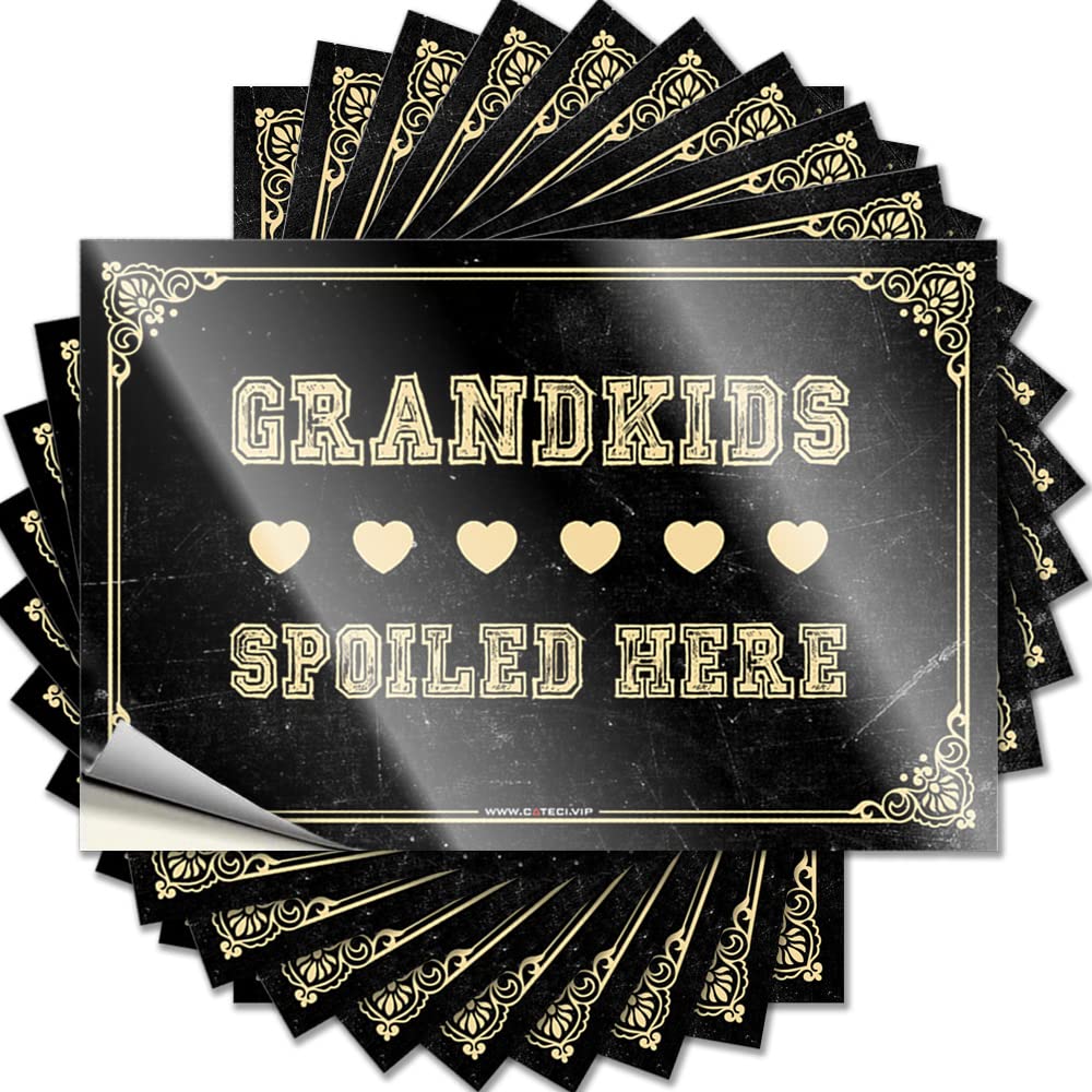 Rv Camping Accessories Vintage Sticker - Grandkids Spoiled Here Removable Decal Tumbler Easy Peel for Coffee(6X9CM)