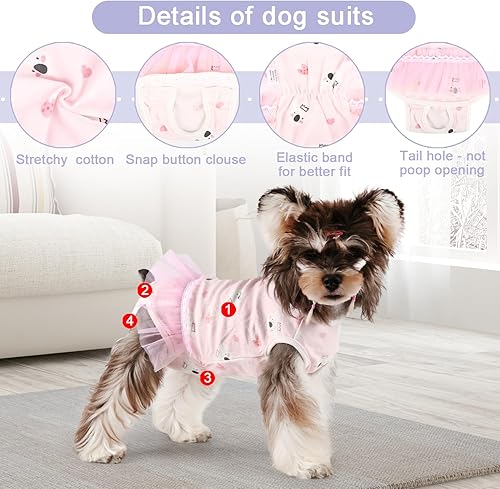 Miniatura 3 de Etdane Pañales sanitarios para perros, ropa interior de periodo fisiológico, trajes de recuperación quirúrgica para perros machos y hembras, koala