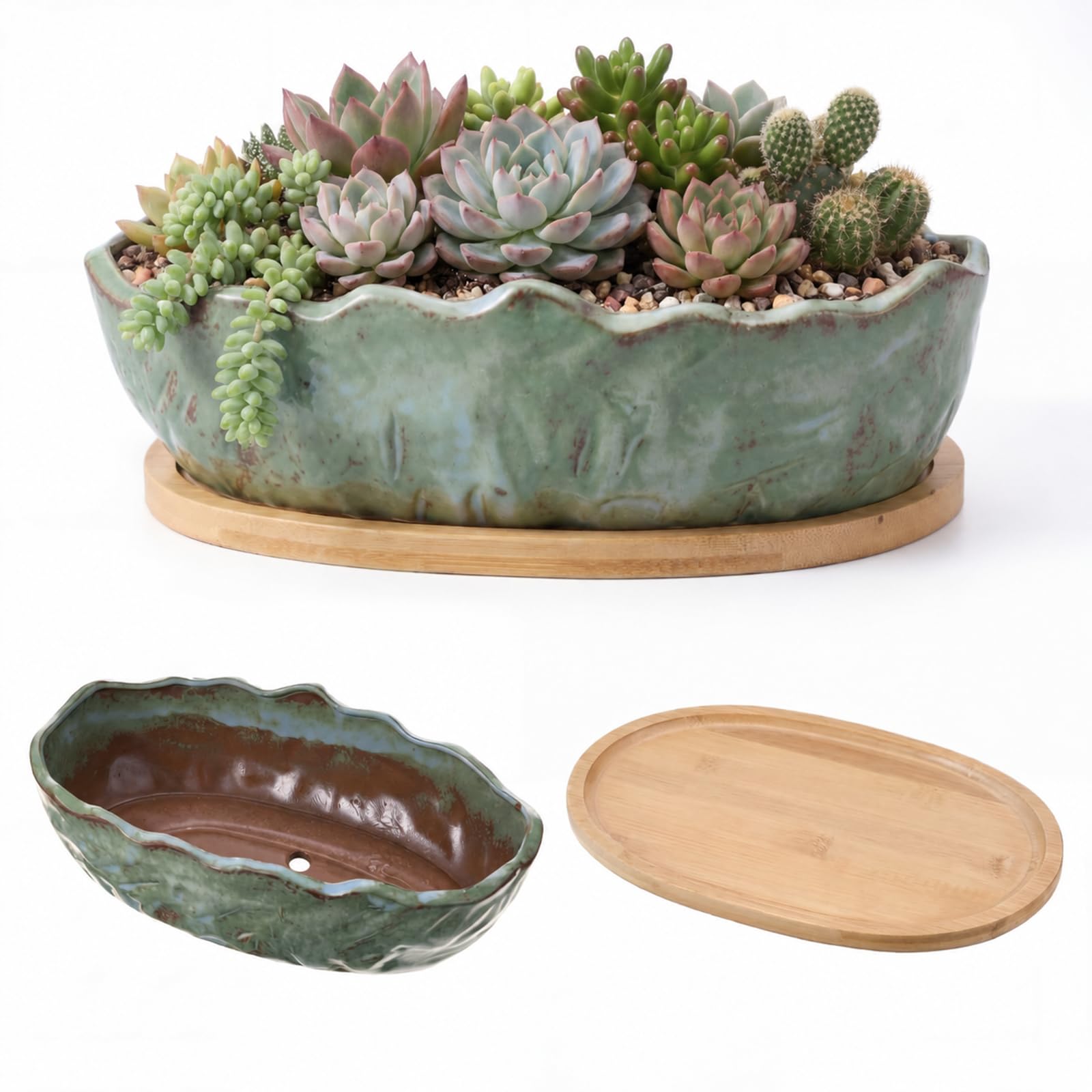 Photo 1 of Singhoow 11 Inch Oval Ceramic Shallow Succulent Planter with Tray, Green