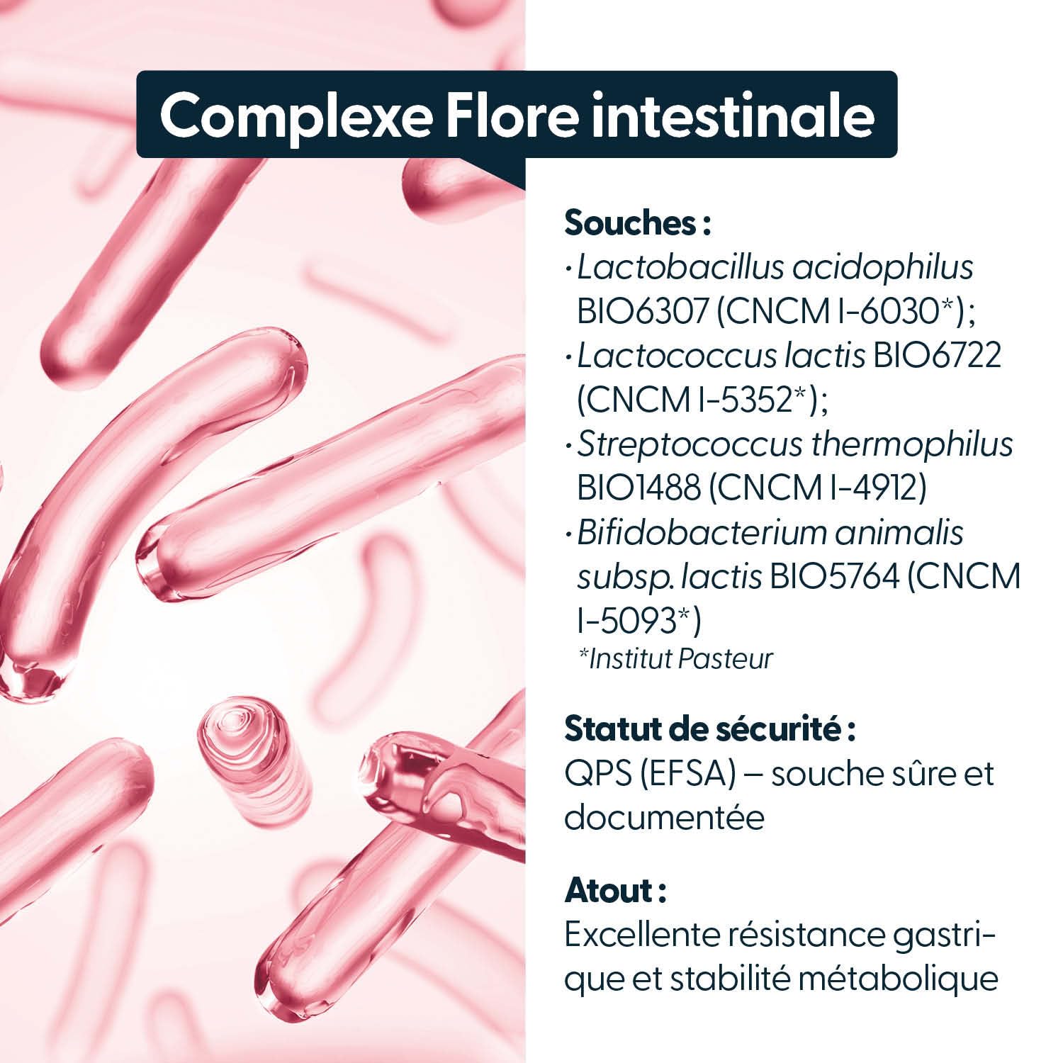 Probiotiques 12 milliards UFC – 4 souches déposées Institut Pasteur – Gélules gastro-résistantes – 180 gélules