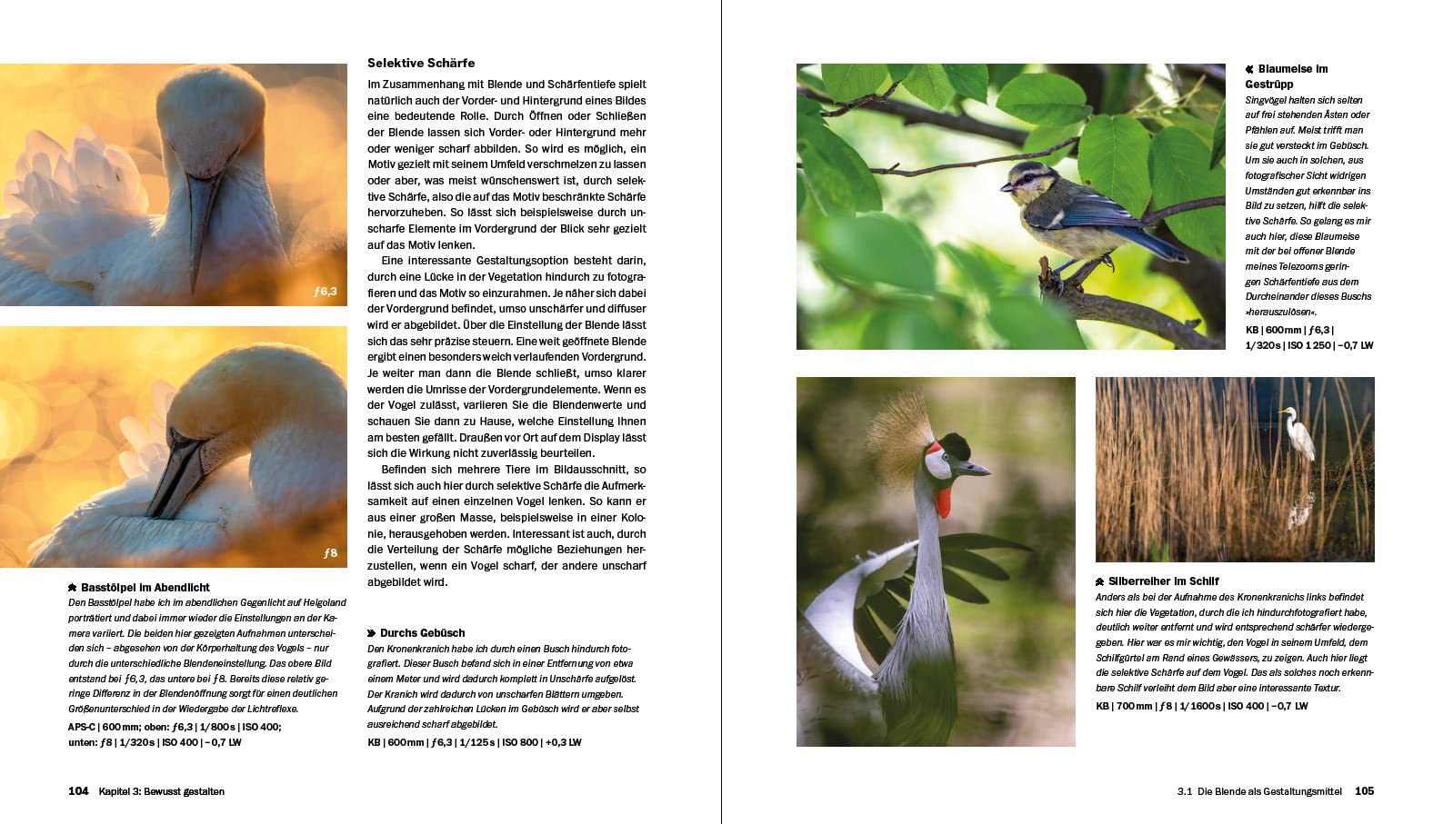 Vogelfotografie: Die große Fotoschule. Ihr praktischer Einstieg: Ausrüstung, Aufnahmetechnik, Bildgestaltung. Mit artenspezifischen Informationen