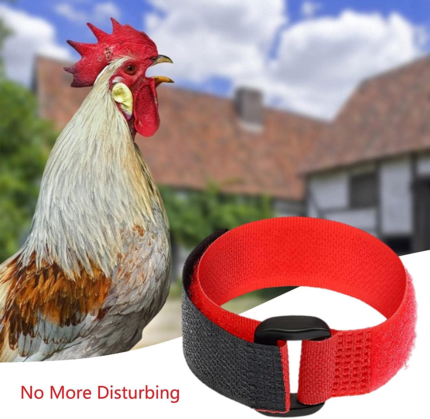 LATRAT Pack of 4 Rooster Collars No-Crow Chicken Collars Nylon Chicken Collar Adjustable Prevent Chicken Screaming - Image 4