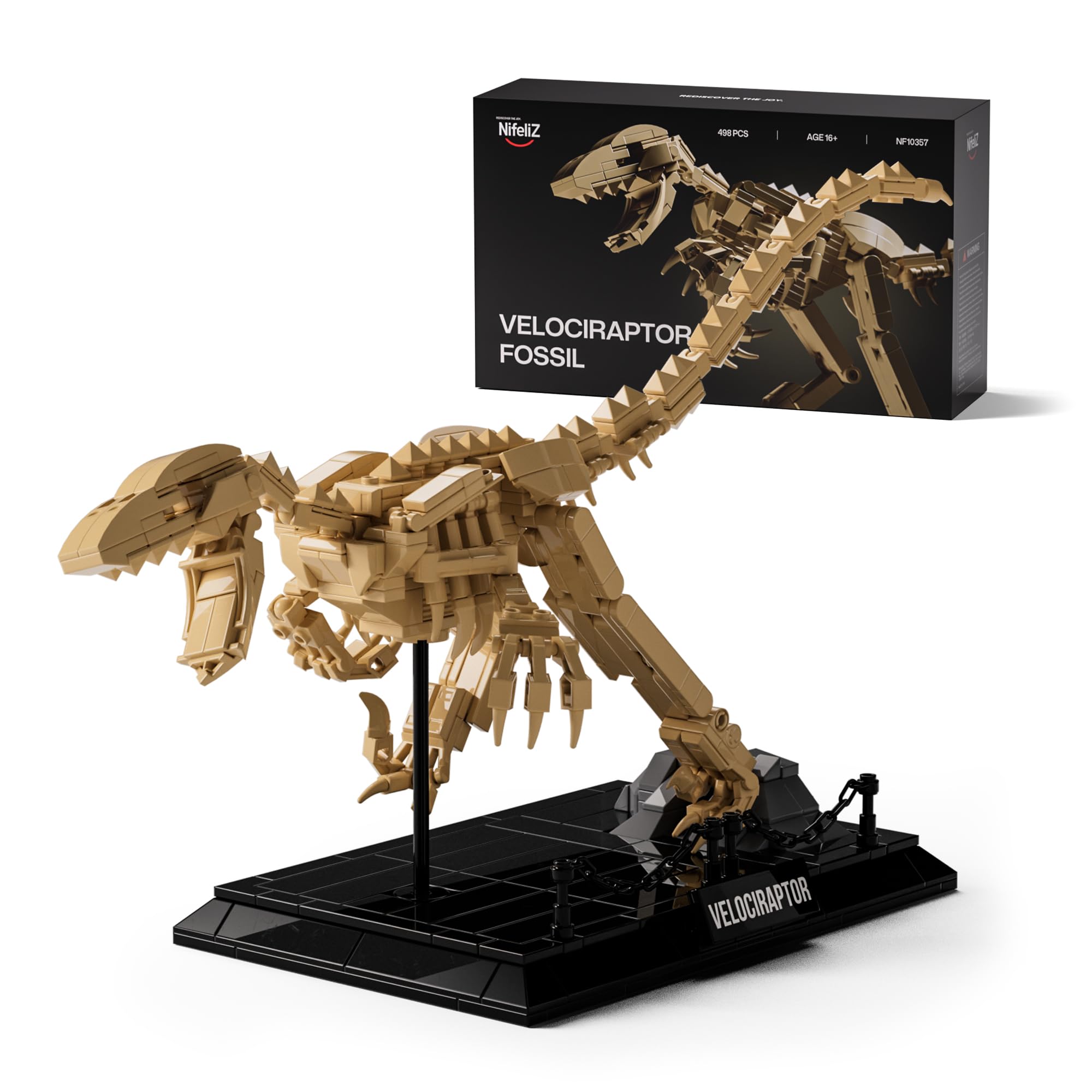 Amazon.com: Nifeliz Velociraptor Fossil Model Set, Dinosaur