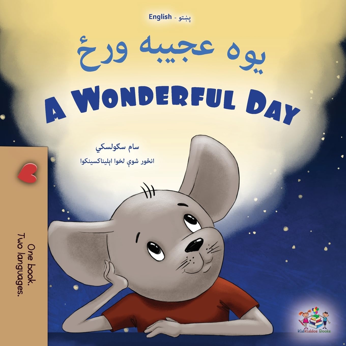 A Wonderful Day (Pashto English Bilingual Children's Book) (Pashto English Bilingual Collection)