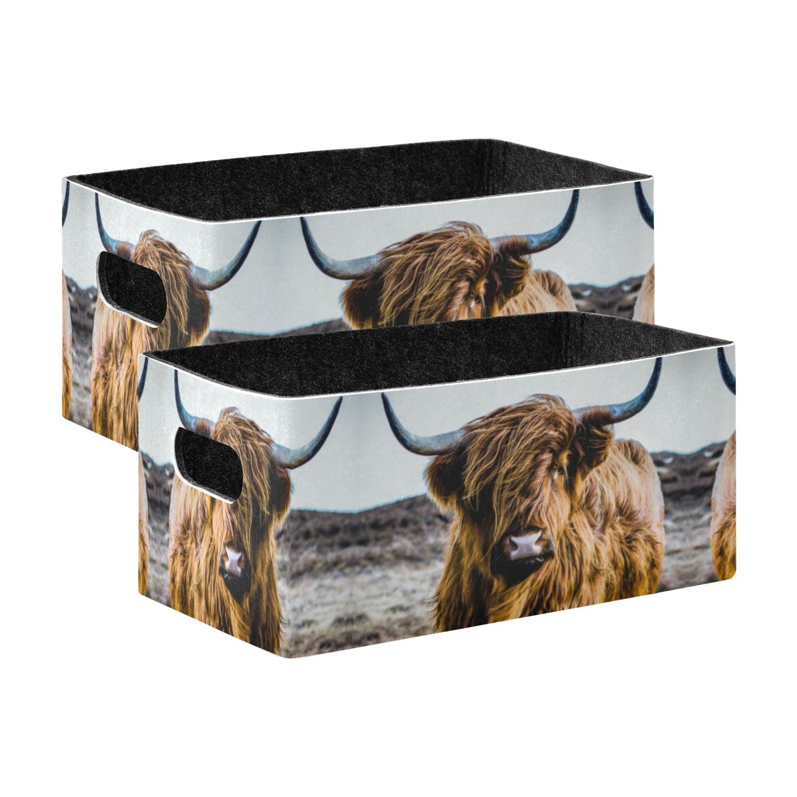 Poeticcity Earth-Yellow Scottish Highland Cow Vintage Style 2 PCs Collapsible Felt Cloth Storage Box, Rectangular Desk Organizer Basket Bin, Detachable Laundry Hamper Counter Holder Box