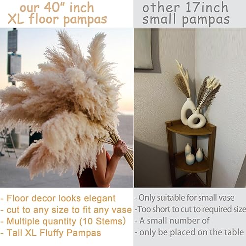 Miniatura 2 de 10 tallos de 40 pulgadas, decoración de hierba de las pampas de 40 pulgadas de alto, hierba natural de pompas grandes, ramo de flores secas para