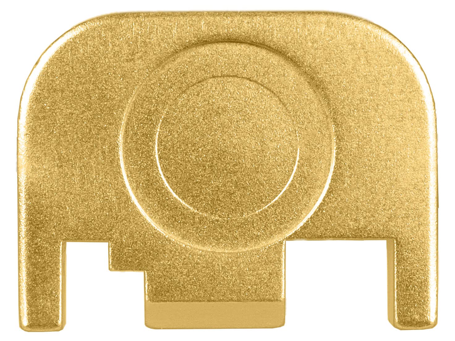 Amazon.com : NDZ Performance Rear Slide Cover Back Plate for Glock