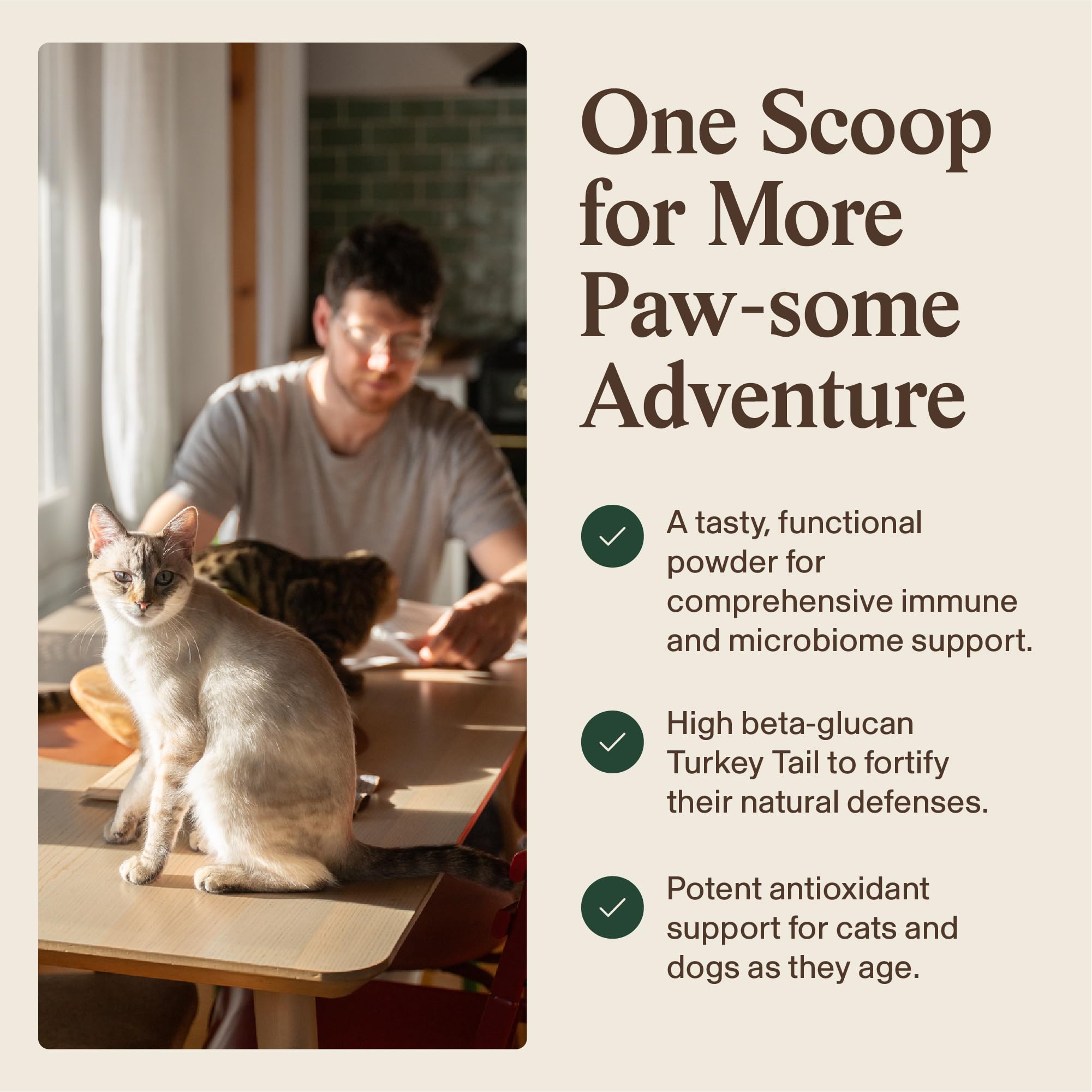 Real Mushrooms Turkey Tail with Qrill for Puppies and Kittens, 75g — Amazon image 5