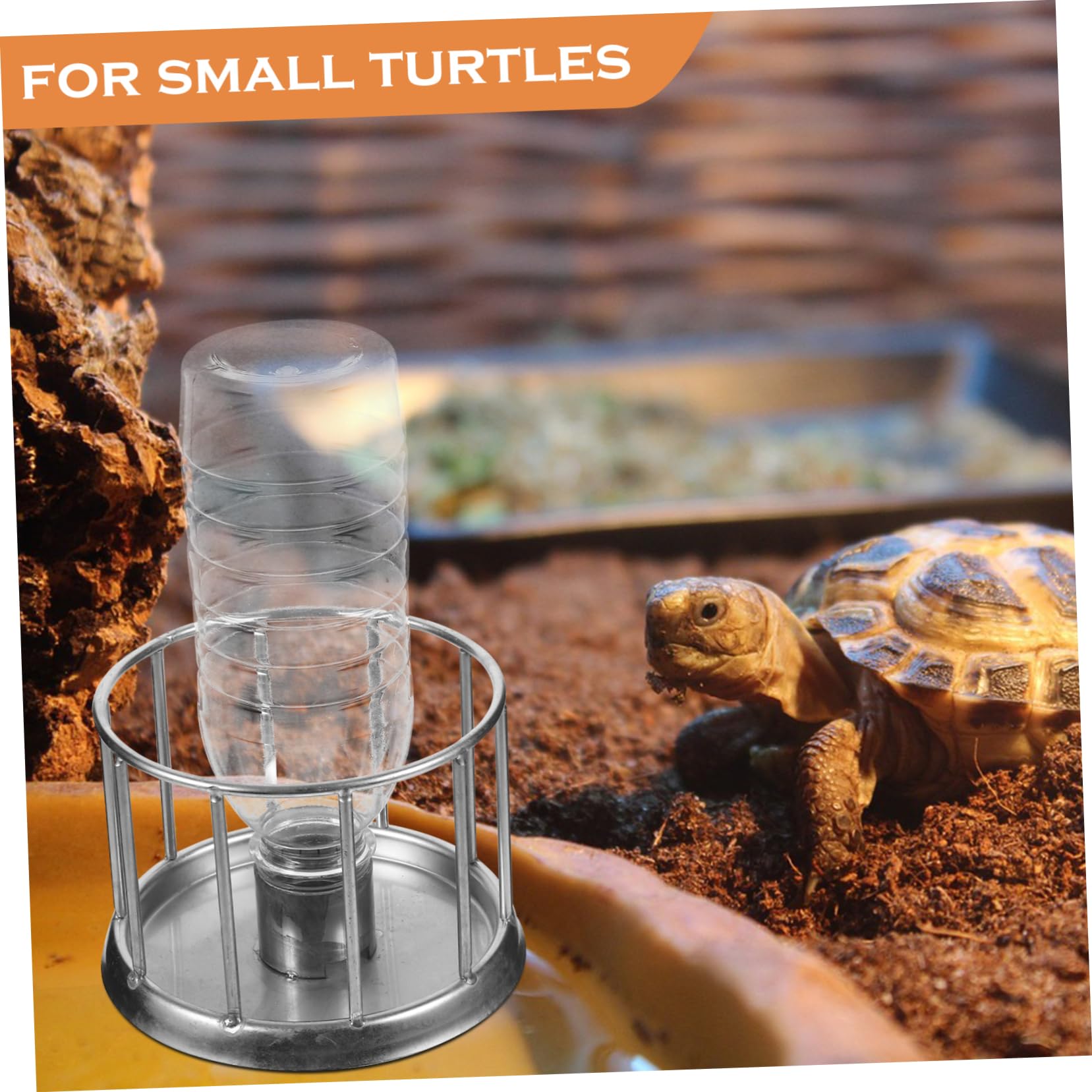 Levemolo 4piezas Comedero y Bebedero Multifuncional De Acero Inoxidable para Reptiles Tortugas y Lagartos Dispensador Mini para Terrario Diseño Anti-Salpicaduras para Agua y Alimentos