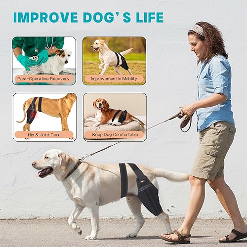 Miniatura 5 de Rodillera para perro para pierna trasera desgarrada, soporte ajustable con 2 estabilizadores para reducir el dolor, lesiones de ligamentos y rótula