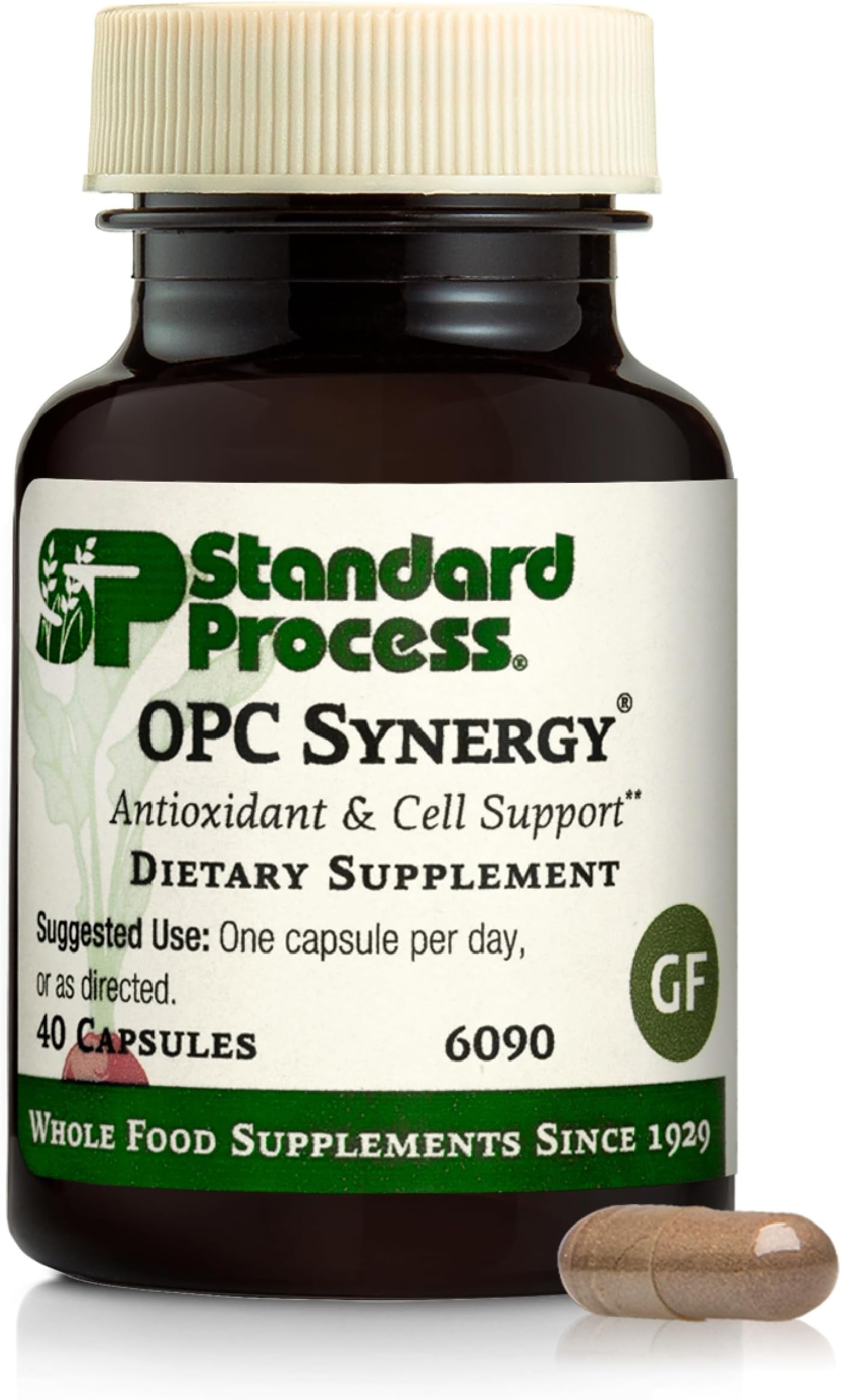 OPC Synergy - Whole Foods Cognitive Health, Brain Health and Brain Support, Eye Support and Eye Health with Bilberry, Grape Seed Extract, Green Tea Powder, and More - 40 Capsules