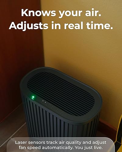 Miniatura 6 de Windmill Purificador de aire para el hogar - Filtración 3 en 1 para humo y más - Filtro HEPA verdadero, carbón activado y prefiltro - Cubre hasta