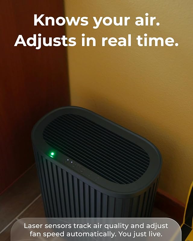 Windmill Air Purifier Max for Home, 3-In-1 Filters for Dust, Smoke, & Pets image 6