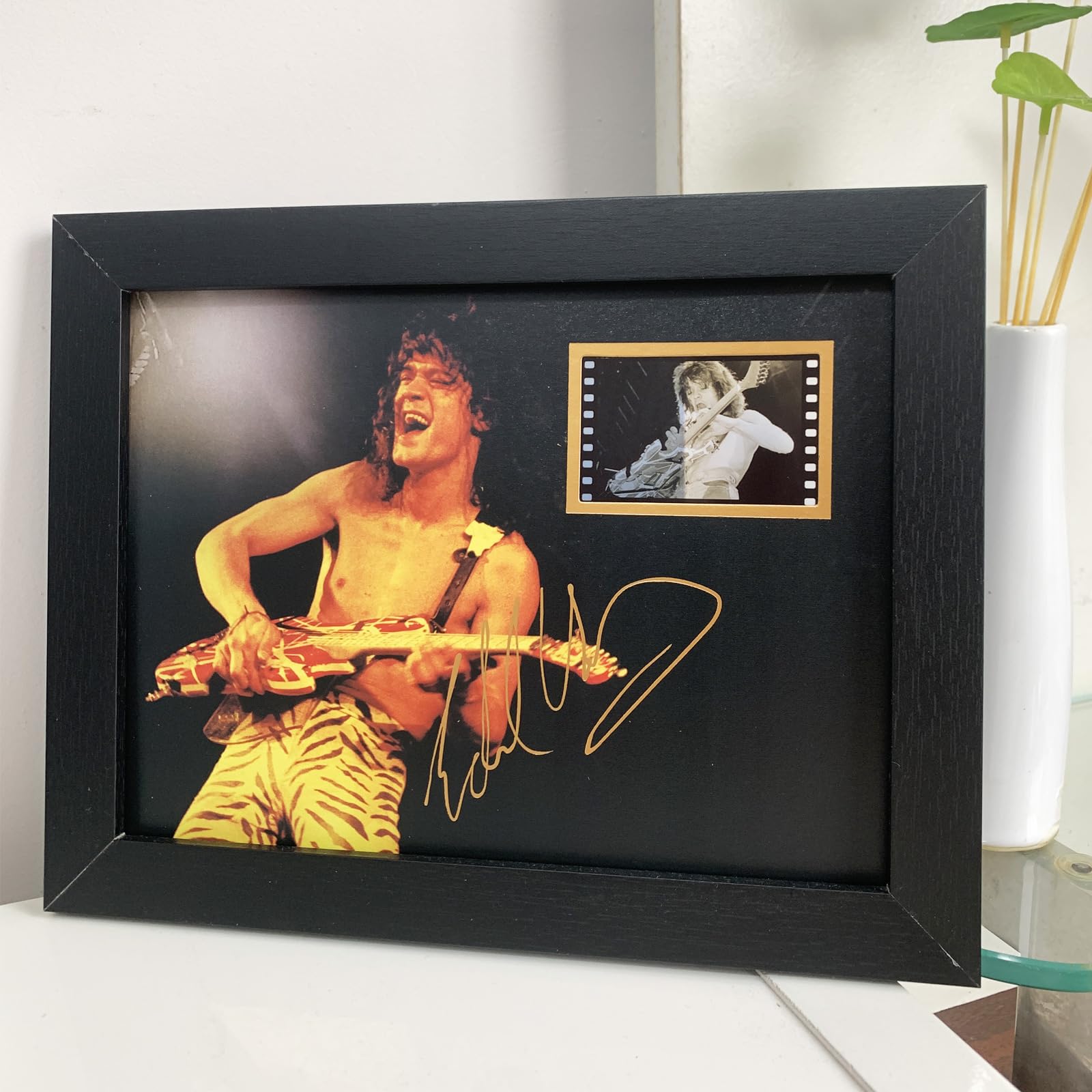 EDDIE VAN HALEN　置物　額　ピック　アート　インテリア　オブジェ EDDIE VAN HALEN 置物 額 ピック アート インテリア オブジェ