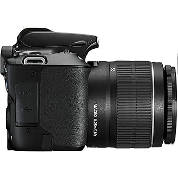 Amazon.com : Canon EOS 250D / Rebel SL3 DSLR Camera with EF