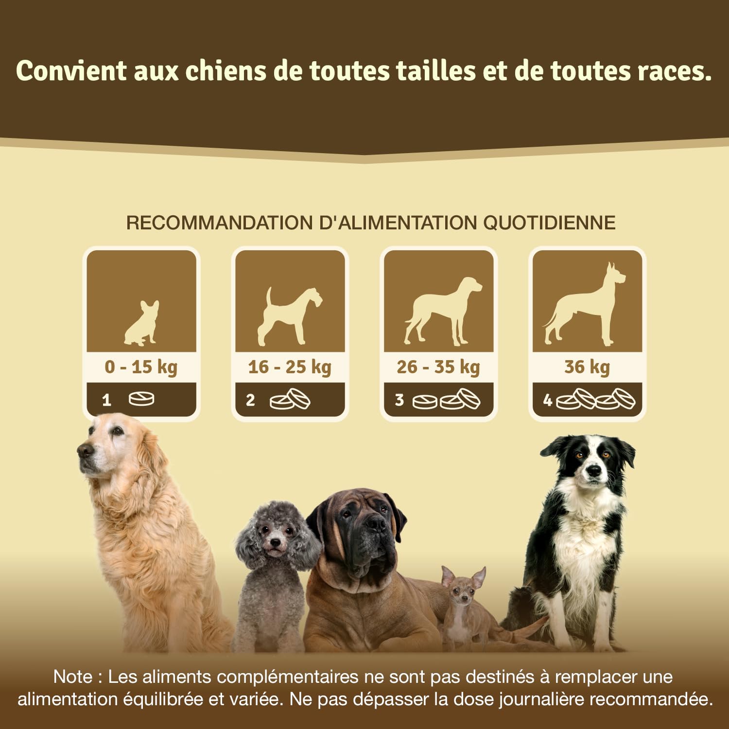 Veddelholzer LAURÉAT DE COMPARAISON DE Produits 2024 Comprimés Anti arthrose Chien articulations pour Chiens avec Moule aux orles Vertes MSM & Griffe du Diable, glucosamine & collagène 125 comprimés