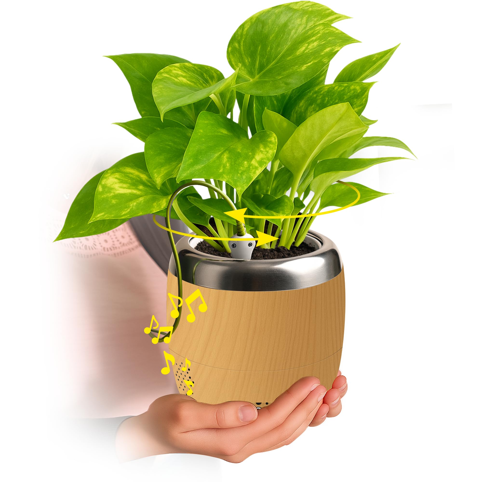 Amazon.com: PLANTPETZ Large Robotic Planter – Smart Planter Fits 4
