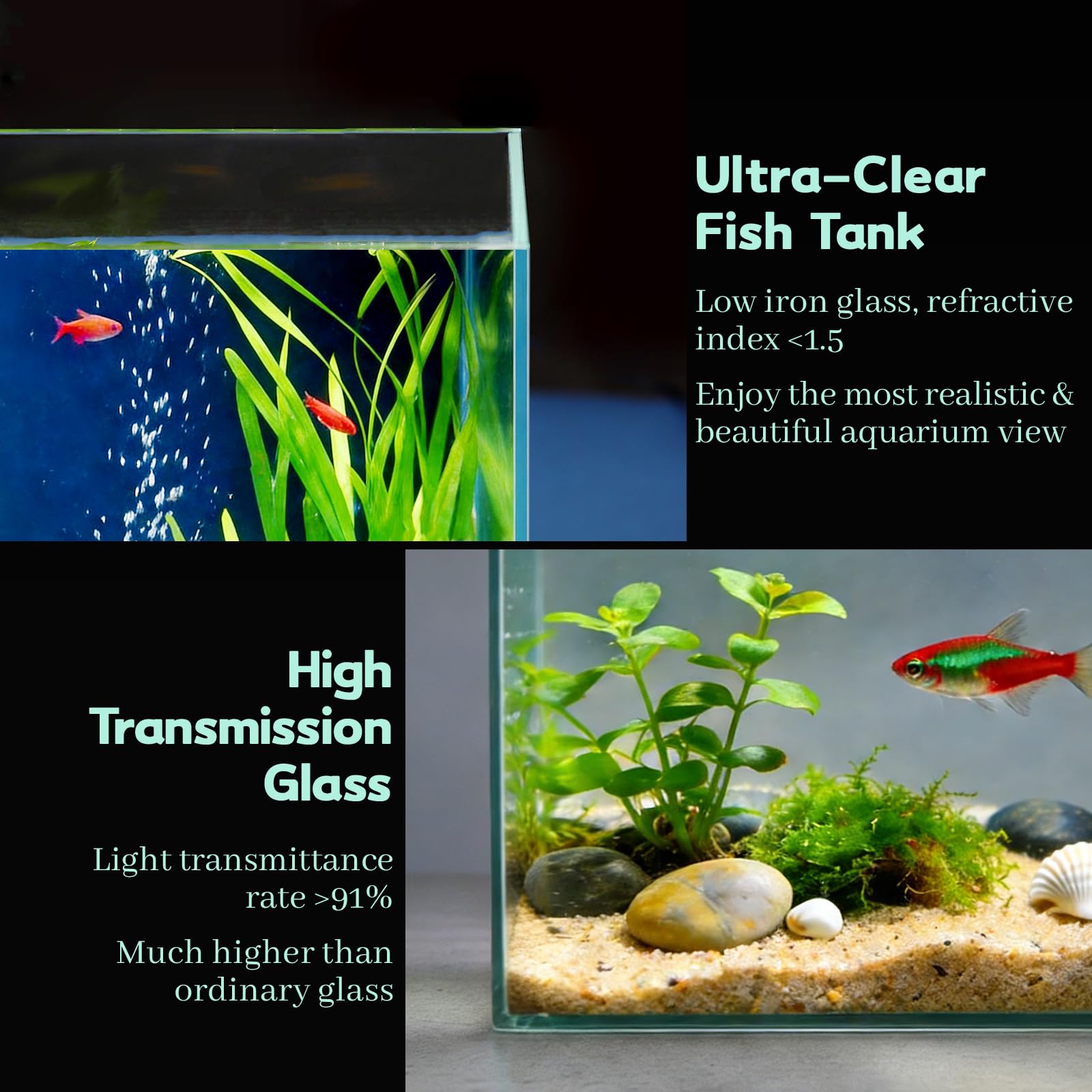 LAQUAL Kit acquario da 3.8 L con rete, sifone per acqua & 2 panni pulizia, vetro cristallino, piccolo acquario per Betta & pesci rossi, bella decorazione casa