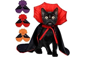 Akatsuki Cloak for Cats: Spooky Halloween Transformation