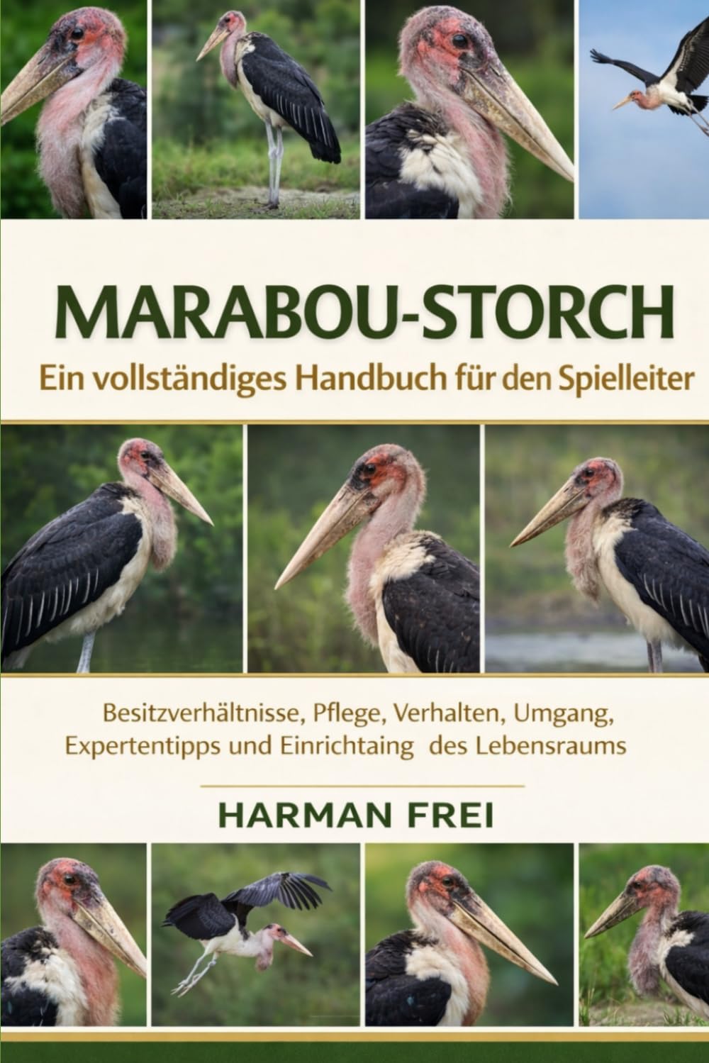 MARABOU-STORCH Ein vollständiges Handbuch für den Spielleiter: Besitzverhältnisse, Pflege, Verhalten, Umgang, Expertentipps und Einrichtung des Lebensraums
