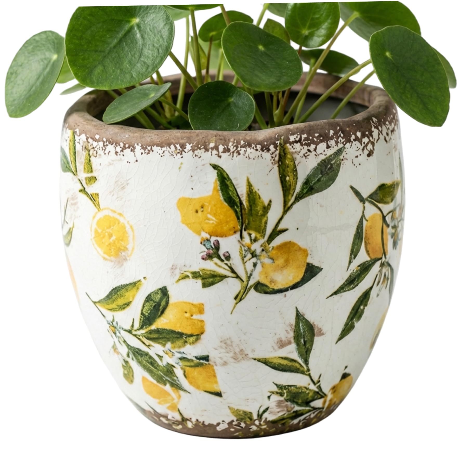 Awnsimfreien Assorted Color Tuscan Planter, Tuscan Ceramic Planter - Yellow Ceramic Flower Pot With Vintage Crackle Glaze For Indoor Outdoor Garden, Patio, And Home Decor, Flower Pot