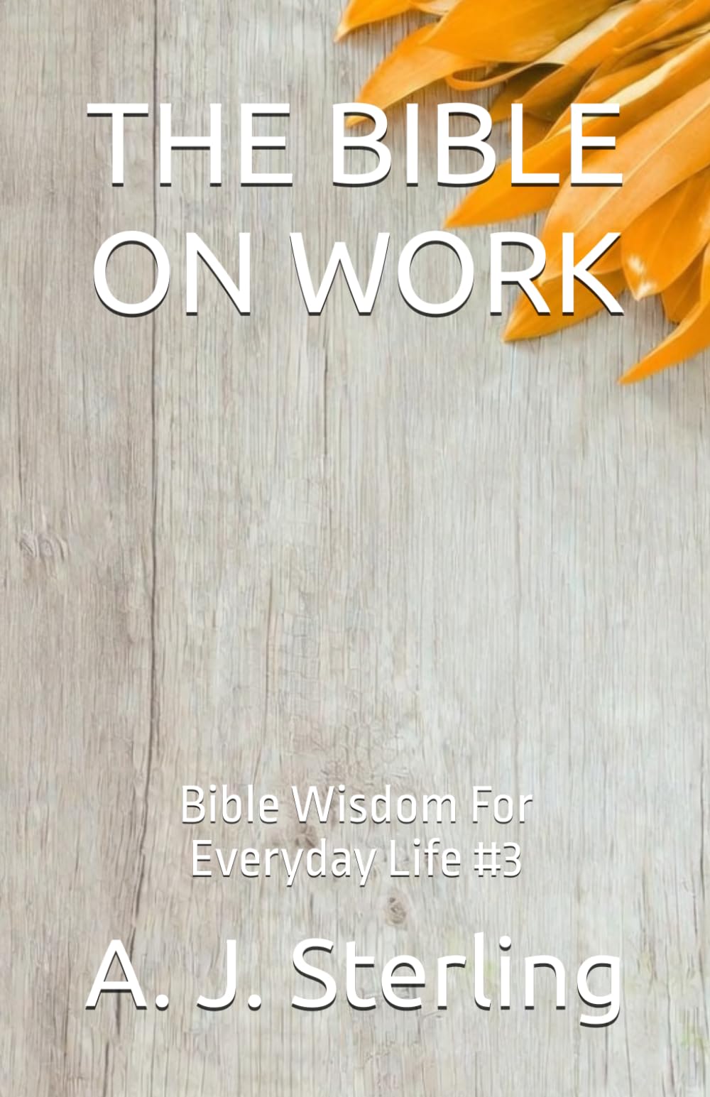 THE BIBLE ON WORK: Bible Wisdom For Everyday Life #3