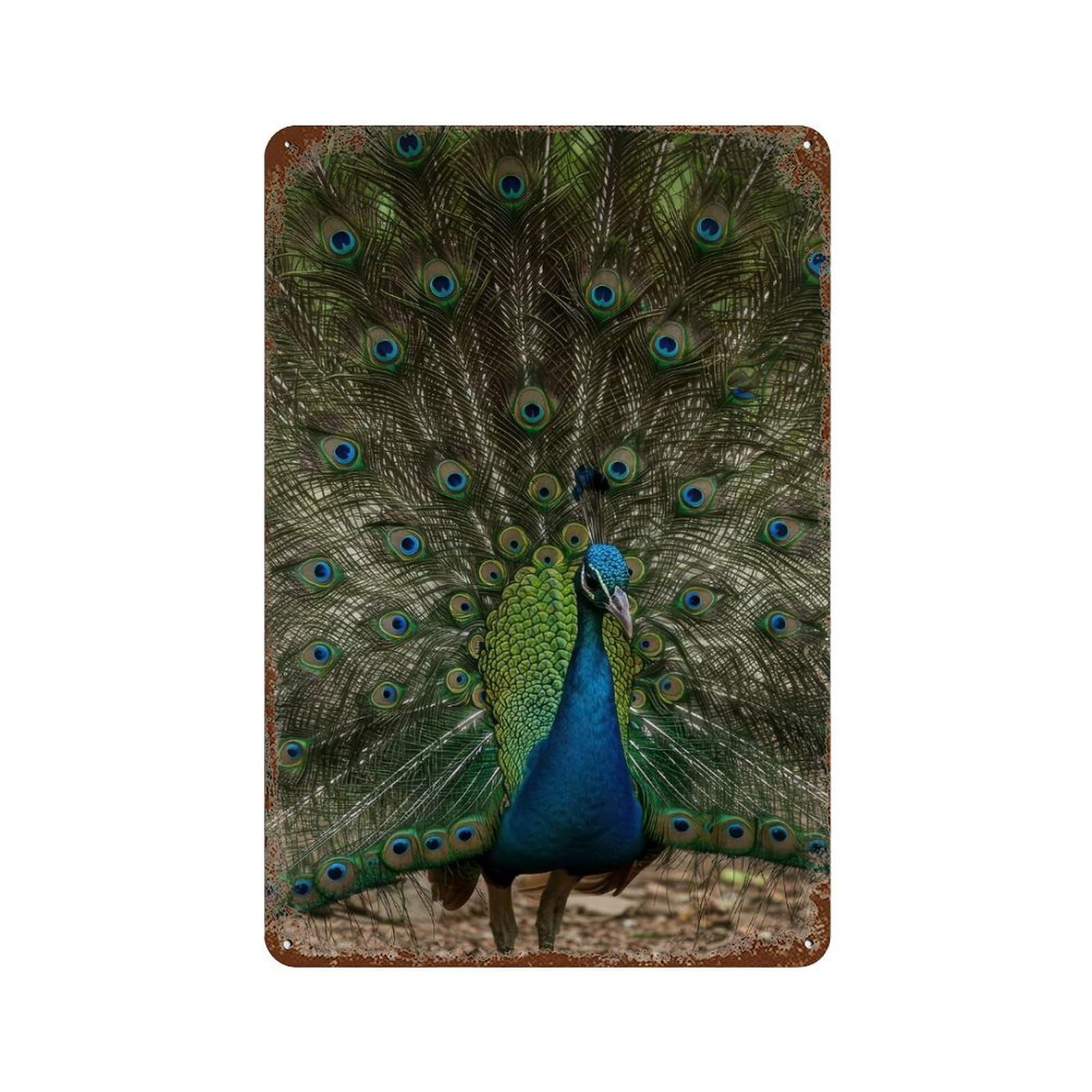 Peacock Displaying Feathers Retro Metal Sign 11.8"x7.9", Old School Wall Decor for Garage, Bar And Workshop Decor