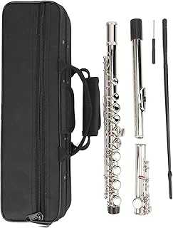 Flute Musical Instruments Flute Monss Penny Flute Whistle Straight Flute,Silver Flute, Wind Instruments,Exquisite And Elegant 16 Hole C Flute Good Pertormance Beginners for home(Silver)