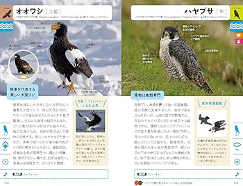 Amazon.co.jp: 街・野山・水辺で見かける 野鳥図鑑 : 柴田 佳秀, 樋口