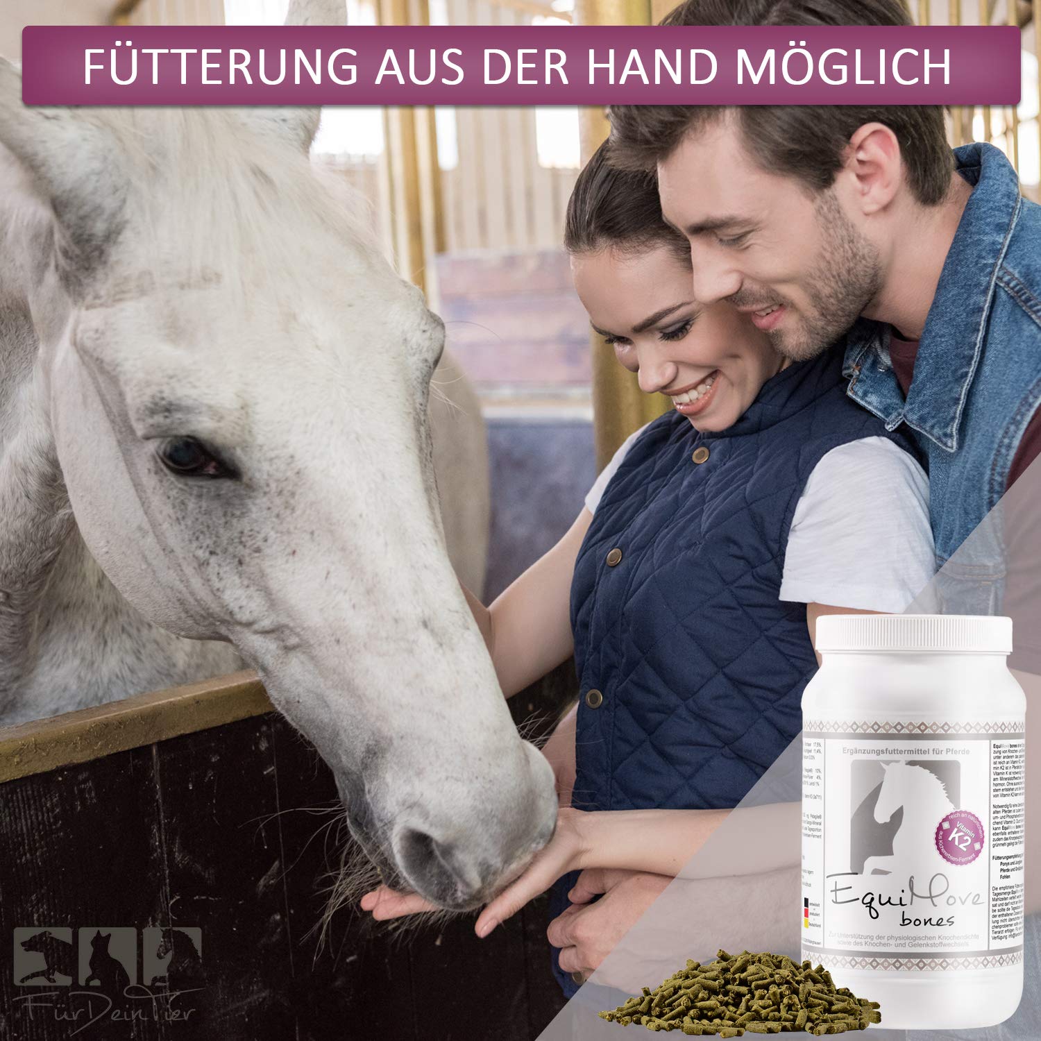 Set Knochen und Gelenke mit je 1,5 kg Motion und Bones | Diätetische Ergänzung bei Arthrose, Spat, Leist etc.