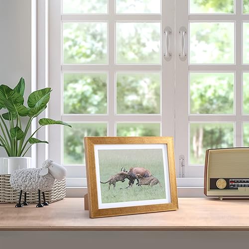 Miniatura 8 de Giftgarden - Portarretratos de 13 x 18 cm, paquete de 4, color dorado, con paspartú de 10 x 15 cm, o sin paspartú, de 13 x 18 cm, para pared o mesa