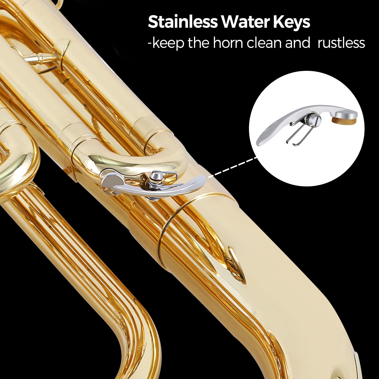 ROWELL Baritone Horn Bb Brass 3 Valves Lacquer Gold with Mouthpiece, Case and Gloves - Image 3