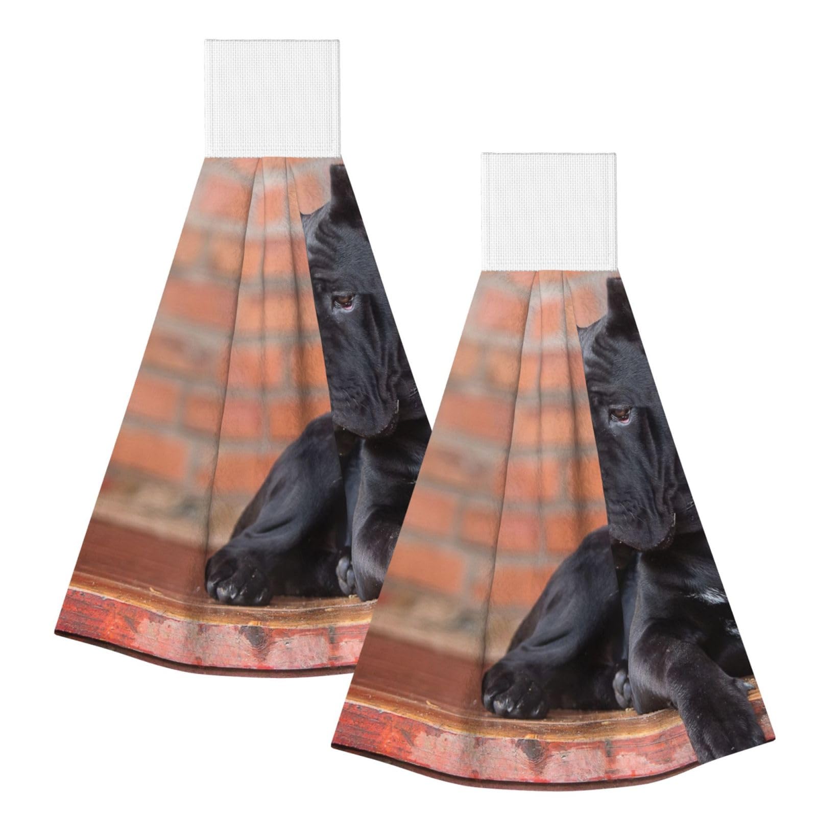 DOPKLNA Cane Corso Big Black Dogs Pets, 2 Pcs Hanging Coral Fiber Hand Towels for Bathroom, Absorbent Kitchen Towels