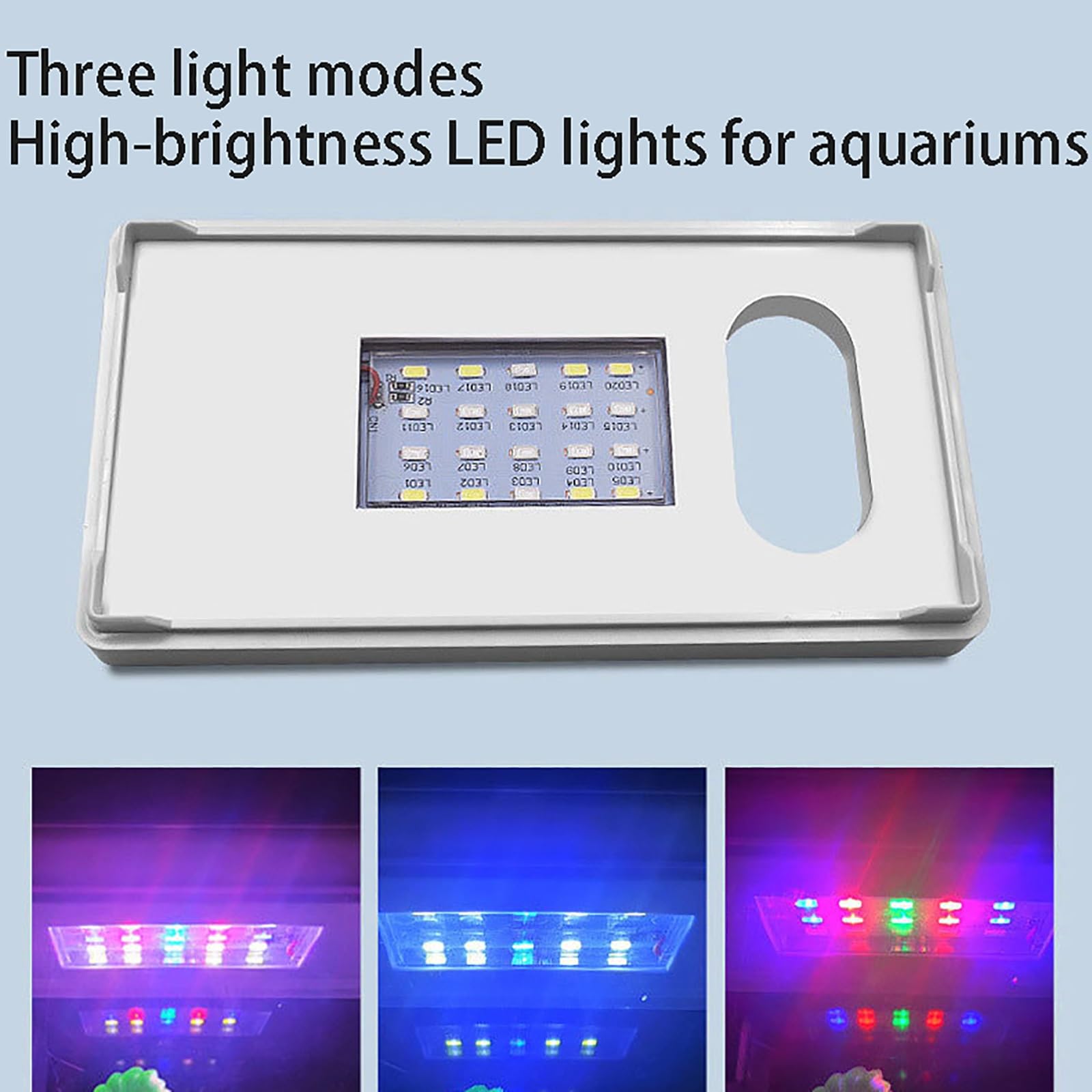 Mini Acuario de sobremesa, pecera con filtración e iluminación LED