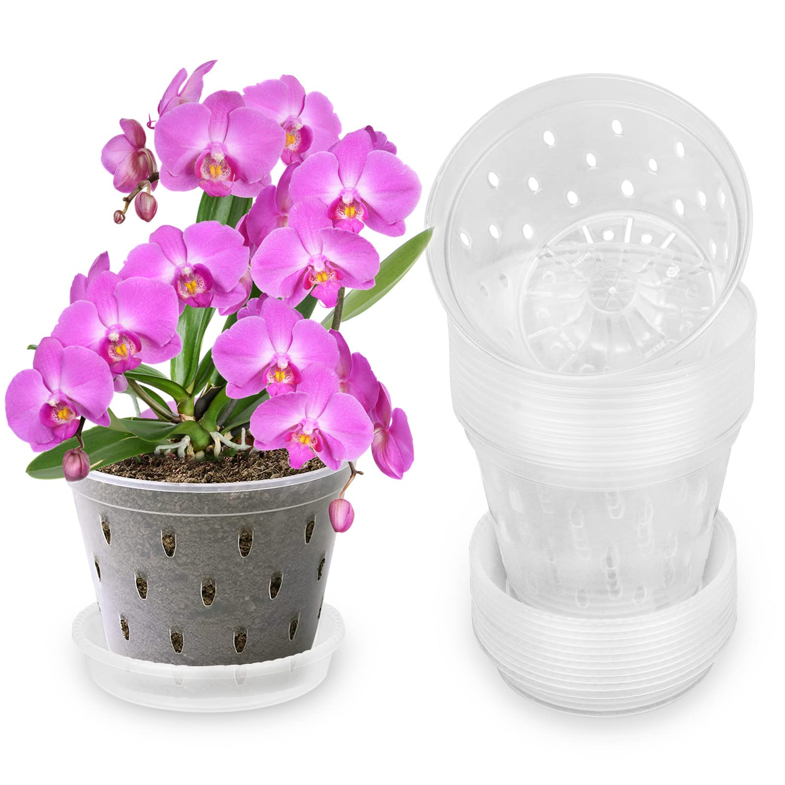 Buy Orchid Pots with Holes 5.5 inch Orchid Pots 10 Pack,Clear Plastic