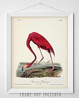 Vista 9 de American Flamingo Illustration - 11x14 Unframed Art Print - Great Wall Decor and Gift