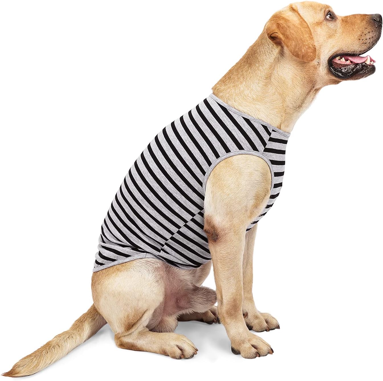 Cotton dog shirt Clearance