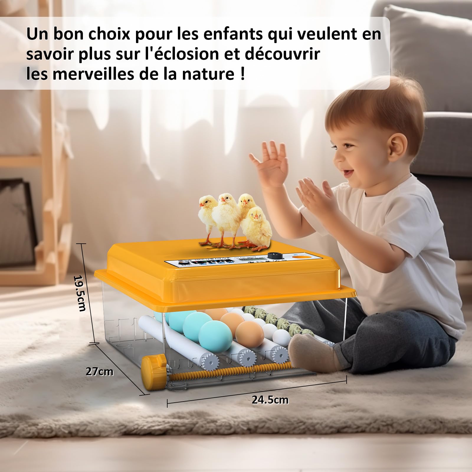Couveuse Oeuf Automatique avec Contrôle de Température Retournement Automatique pour 16 Oeufs, Incubateur Oeuf rouleaux réglables et ajout automatique d'eau, Couveuse Mire Oeufs Intégré