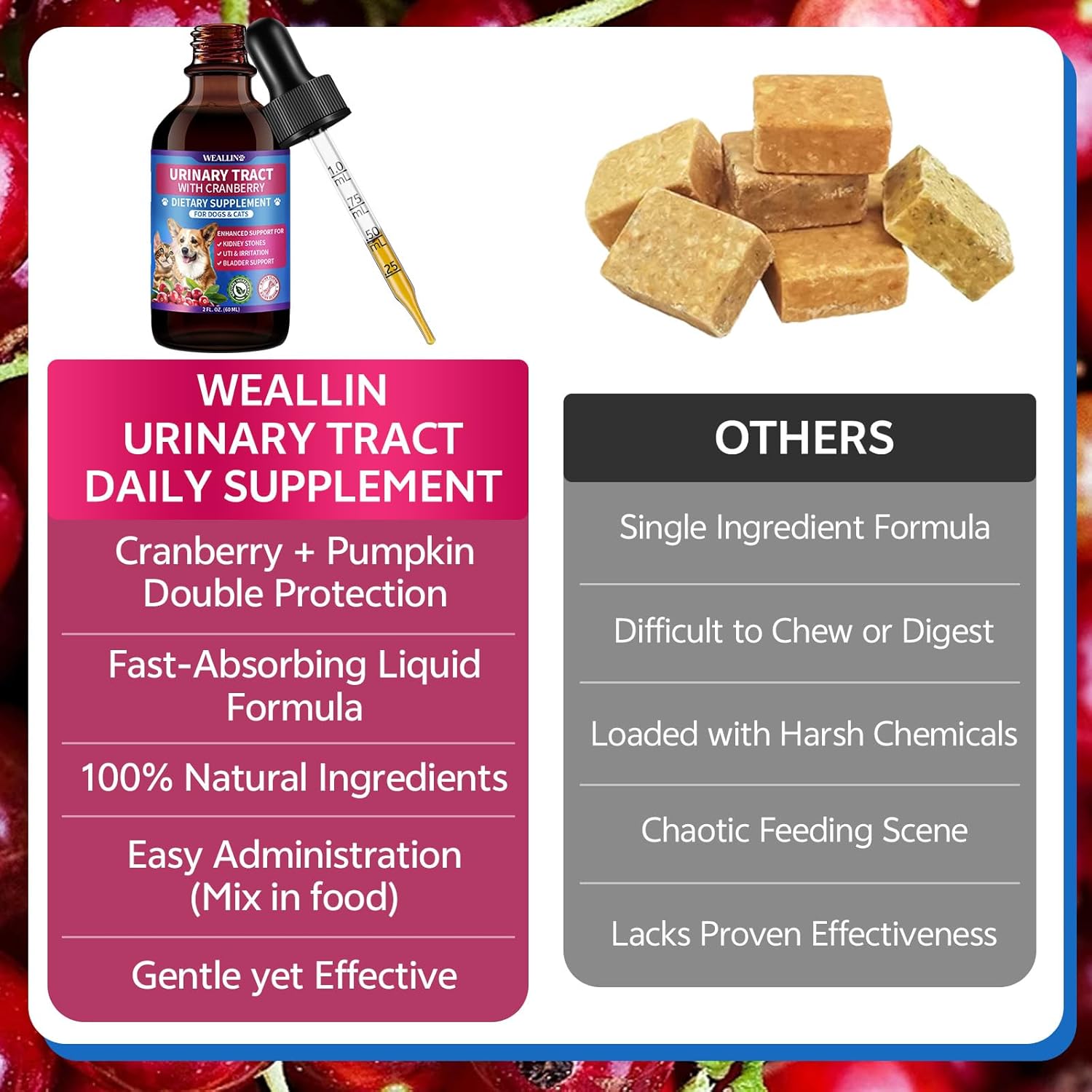 Dog Flea and Tick Prevention Soft Chews + Cat & Dog Urinary Tract Infection Treatment with Cranberry, Dual-Action Natural Wellness