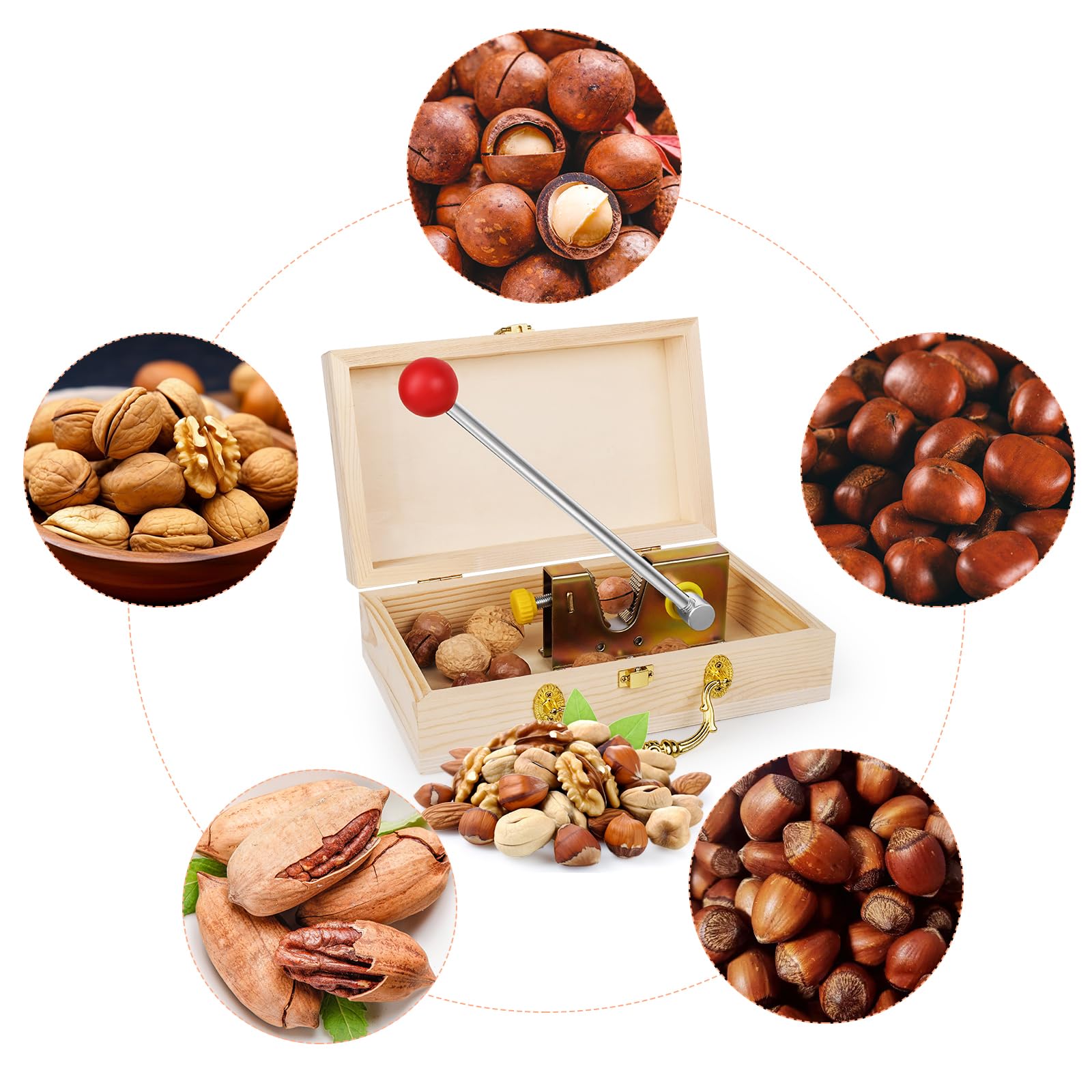 ChromLives Nussknacker Walnussknacker für Alle Nüsse Haselnussknacker Nut-Cracker Nusszange Grönverstellbar mit hölzerner Geschenkbox und Hebel-Funktion für Haselnüsse, Paranüsse, Mandeln, Pekannüsse