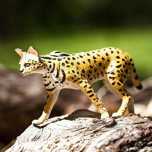 Miniatura 7 de Safari Ltd. Estatuilla Serval  Figura detallada de plástico de 3.75 pulgadas  Divertido juguete educativo para niños, niñas y niños a partir de 3