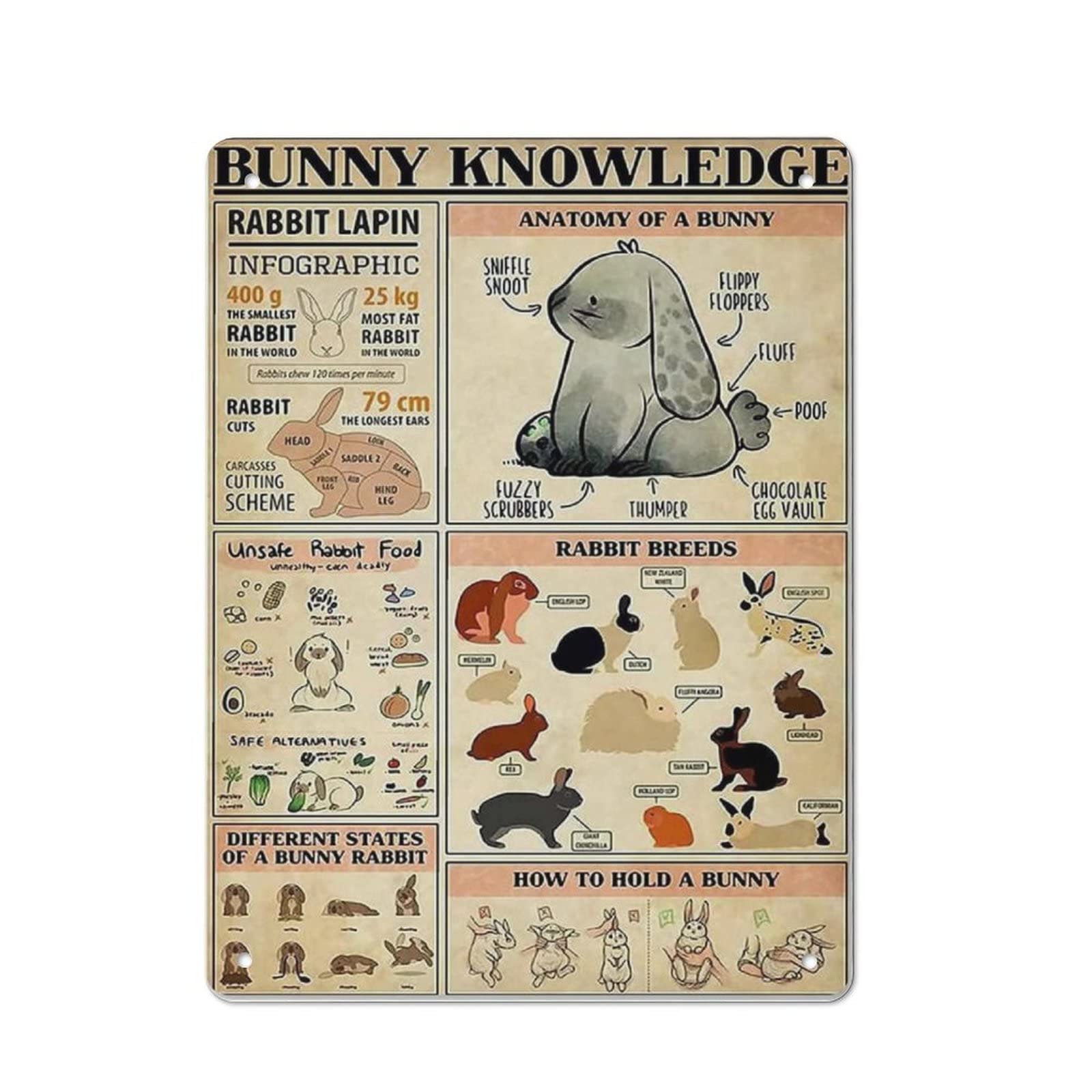 AOOEDM Bunny Knowledge Metal Sign for Home Coffee Garage Wall Decor Vintage Poster Bar Signs for Home Bar Retro Metal Tin Sign