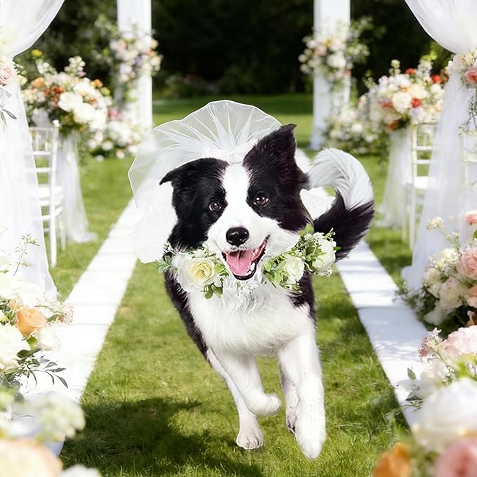 Disfraz de Boda para Perro HEQFOLD con Velo y Collar de Flores miniatura 5