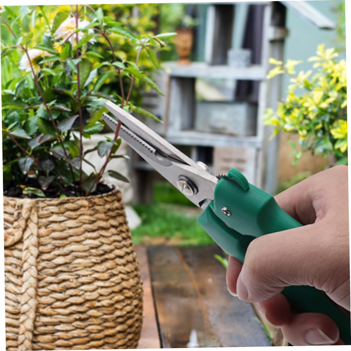 ifundom 3stücke Gartenschneider Professionelle Pflanzenschneider Für Präzises Trimmen Von Und Pflanzen Rostfrei Ergonomischer Griff Für Gartenarbeiten Und